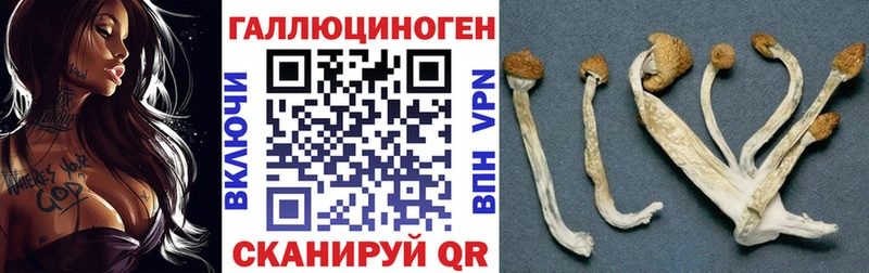 Псилоцибиновые грибы Psilocybe  Лермонтов 